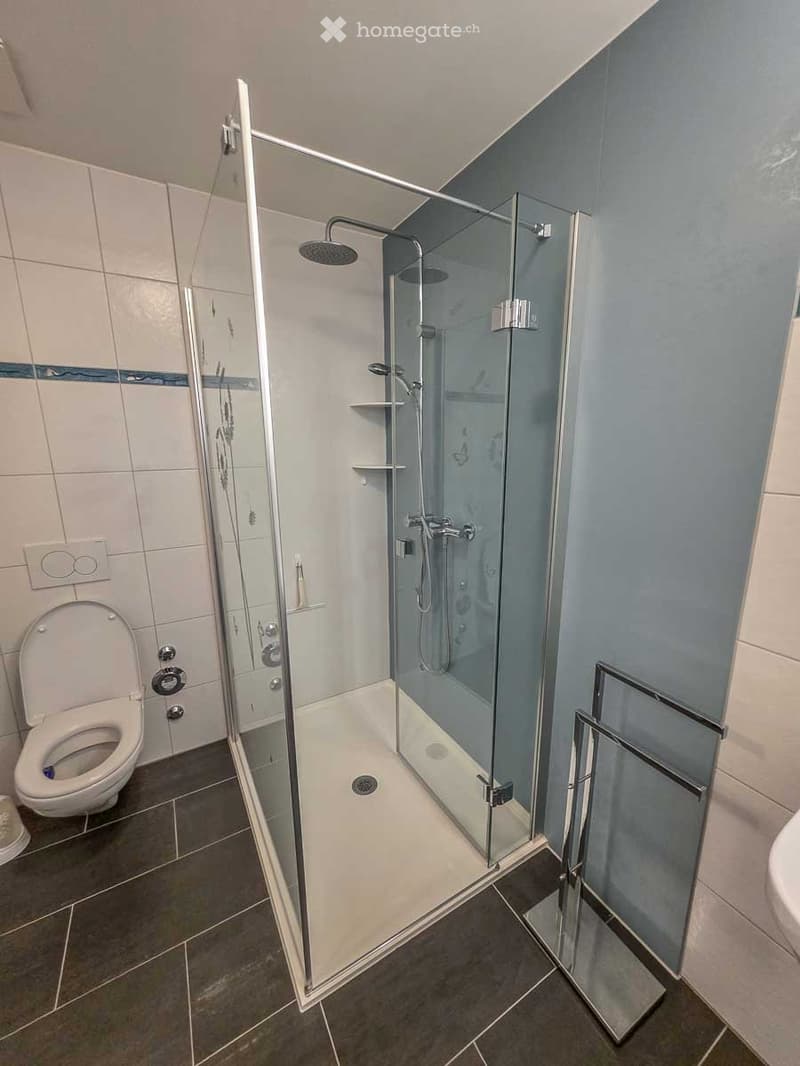 3.5-Zimmer Wohnung möbliert, ideal für Expats (Befristet) (5)