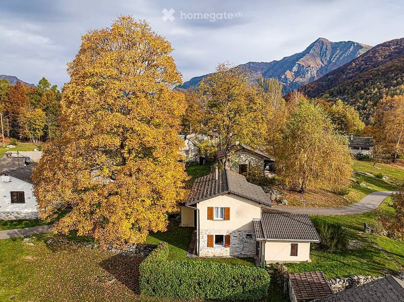 Vendo casa ai Monti Motti (1)
