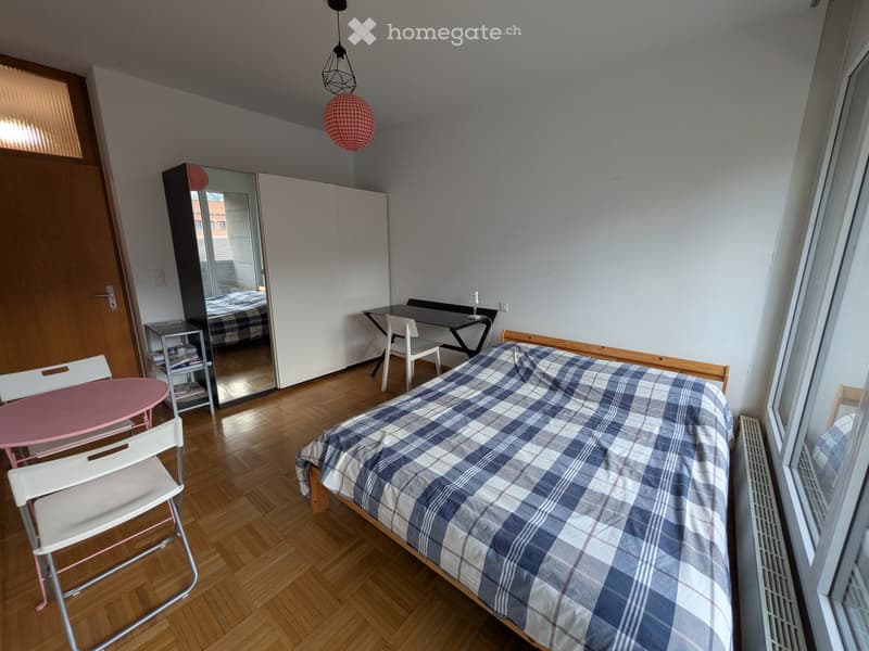 Affittasi monolocale arredato a Mendrisio (2)