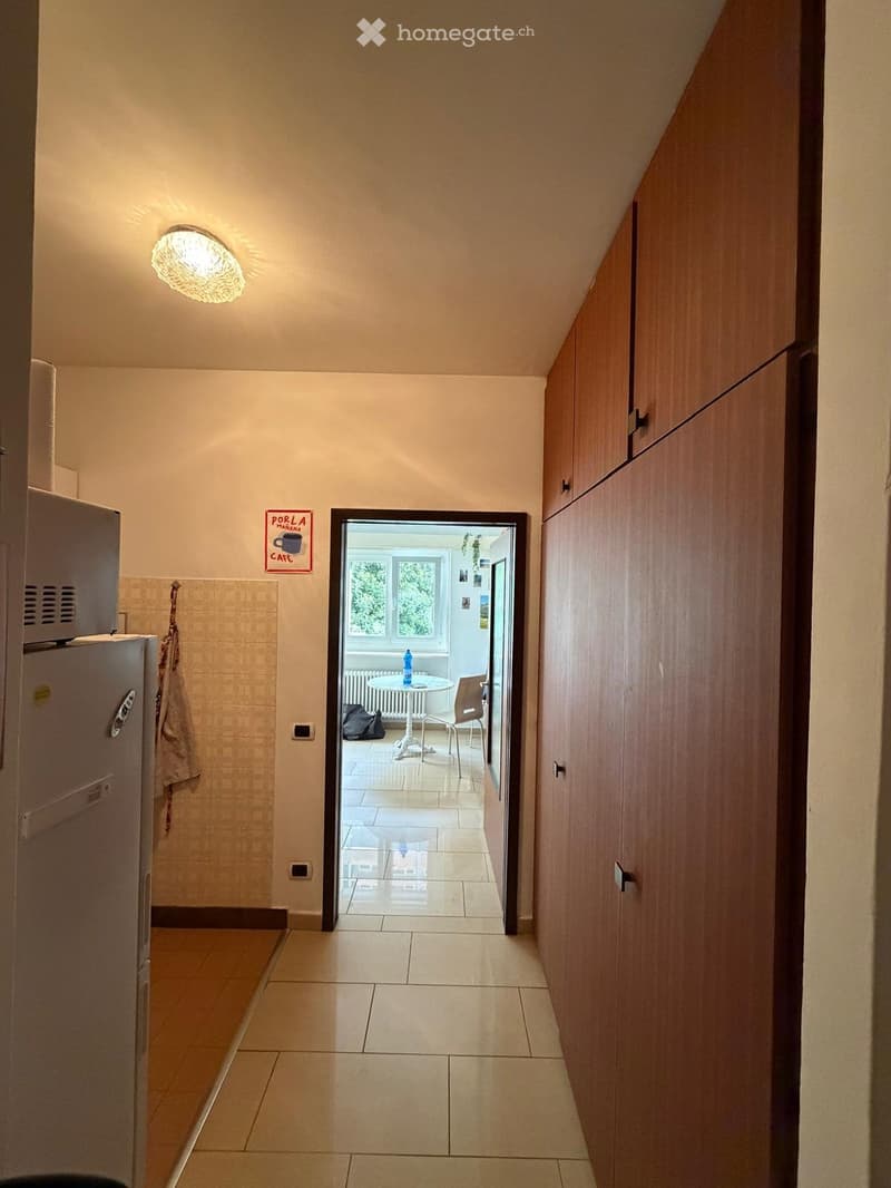 Monolocale 1.5 Lugano centro (4)