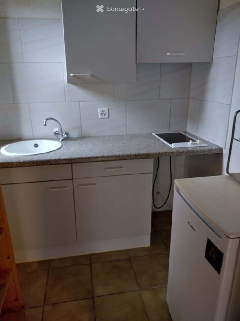 Luganese, studio arredato, immobile di reddito (3)