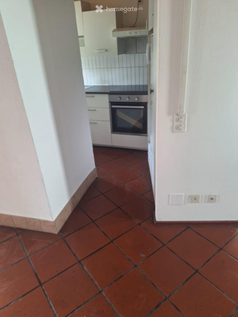 Affittasi appartamento (1)