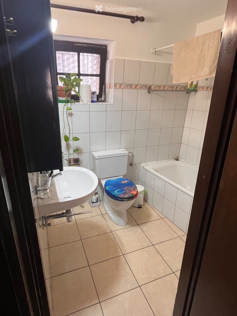 2,5 locali a Carona (Lugano)  CHF 900/mese (4)