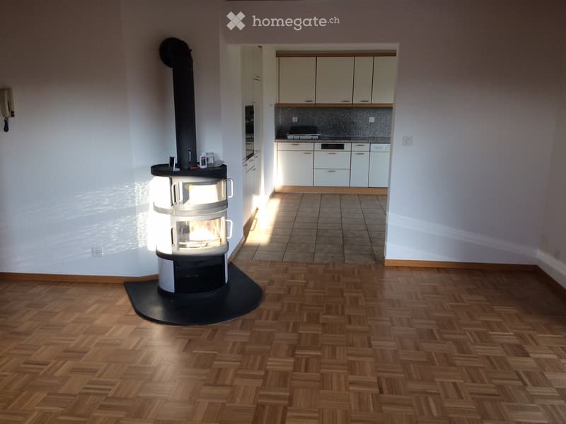 Schöne 4.5-Zimmer-Dachwohnung mit Weitsicht ins Grüne (2)