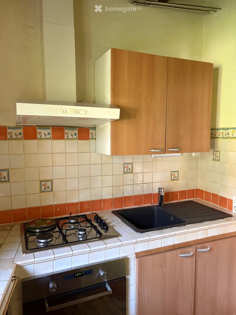 1-Zimmer Wohnung in einem kleinen Gartenhaus (3)