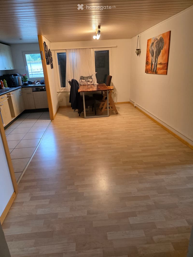 Dachwohnung (4)