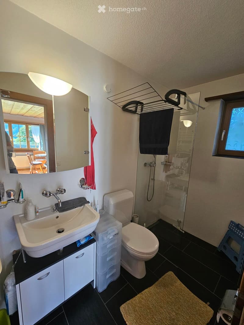 Charmante 2.5-Zimmer-Wohnung als Erst- oder Ferienwohnsitz (5)