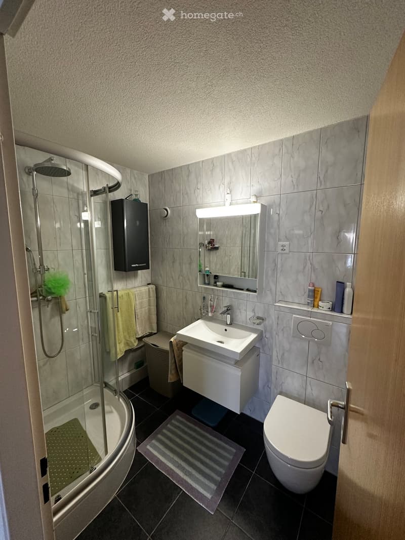 4 Zimmer Wohnung im Herzen Reinachs (5)