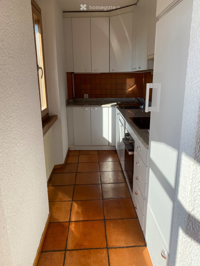 San Pietro di Stabio - Affittasi appartamento 4.5 locali (3)