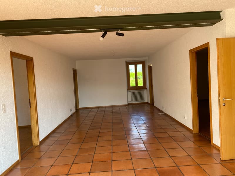 San Pietro di Stabio - Affittasi appartamento 4.5 locali (5)