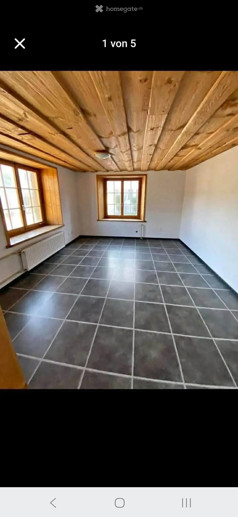 1½-Zimmer-Altbauwohnung  Wohnen oder Arbeiten (2)