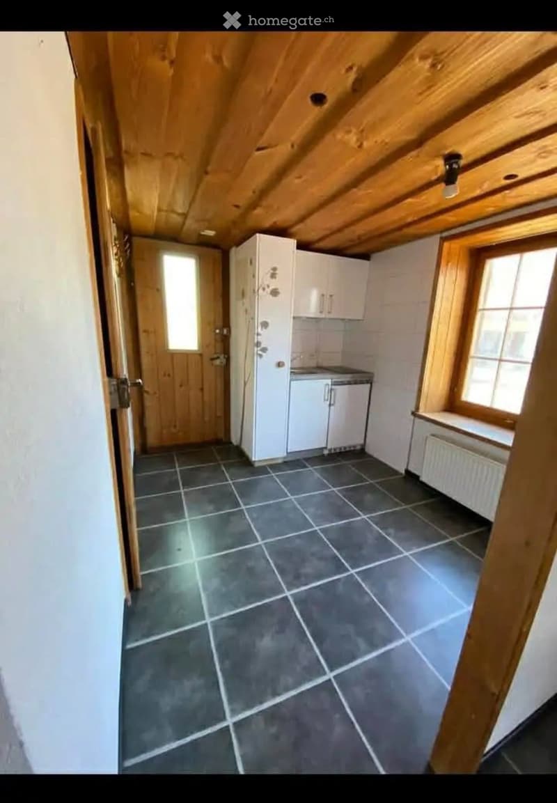 1½-Zimmer-Altbauwohnung  Wohnen oder Arbeiten (3)
