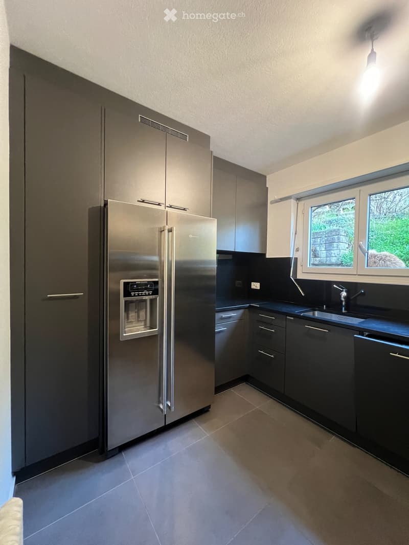Ampio appartamento 4.5 Locali in affitto a Pregassona (3)