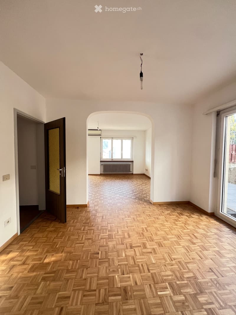 Ampio appartamento 4.5 Locali in affitto a Pregassona (4)