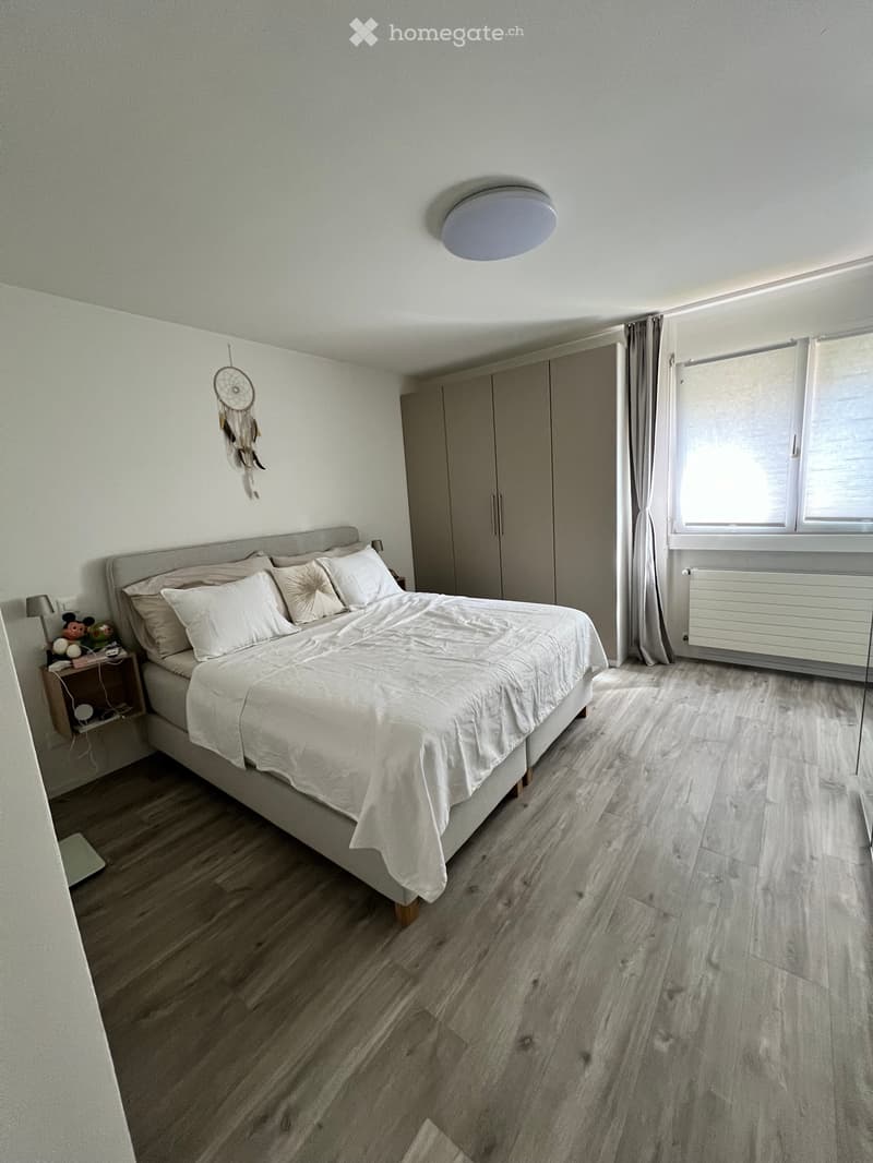 Subentro appartamento 4.5 locali a Mendrisio (1)