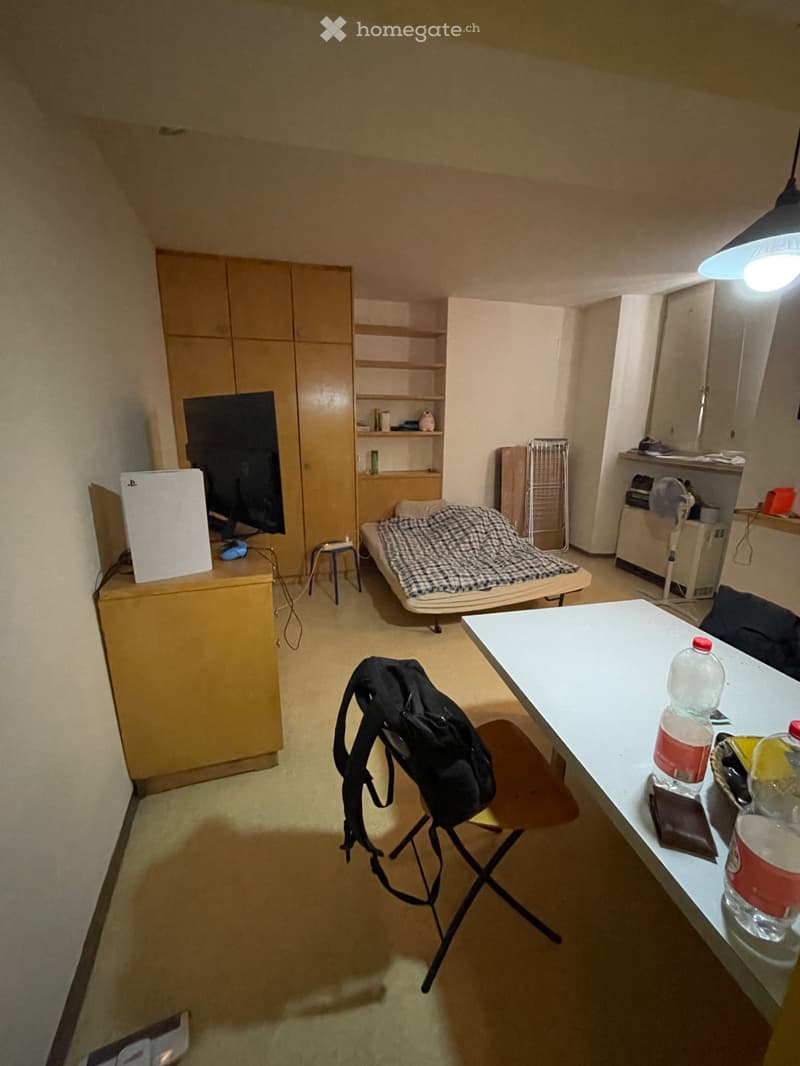 Cercasi Subentrante - Monolocale a Melide (4)