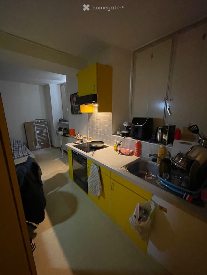 Cercasi Subentrante - Monolocale a Melide (3)