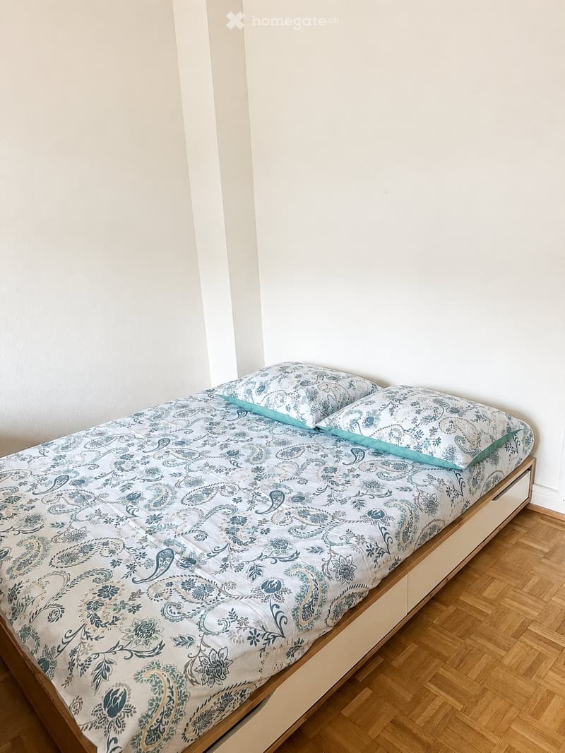 Chambre avec coin salon hyper centre gare/lac (3)