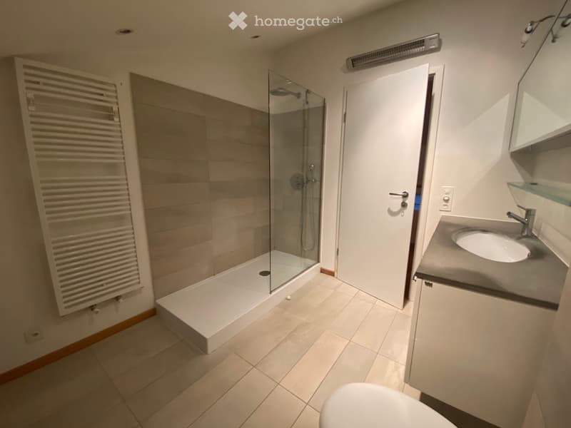 Duplex 2,5 locali a Riva San Vitale (3)