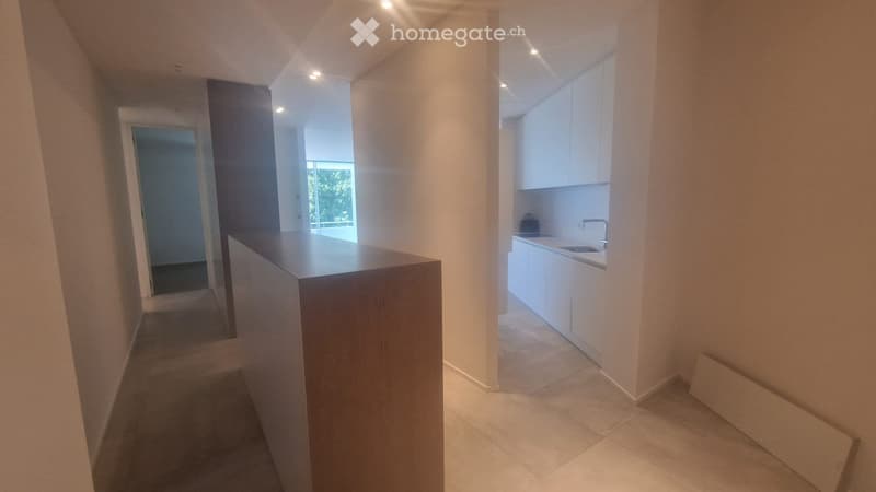 Splendido appto 3.5 locali sul lungolago di Muralto (6)