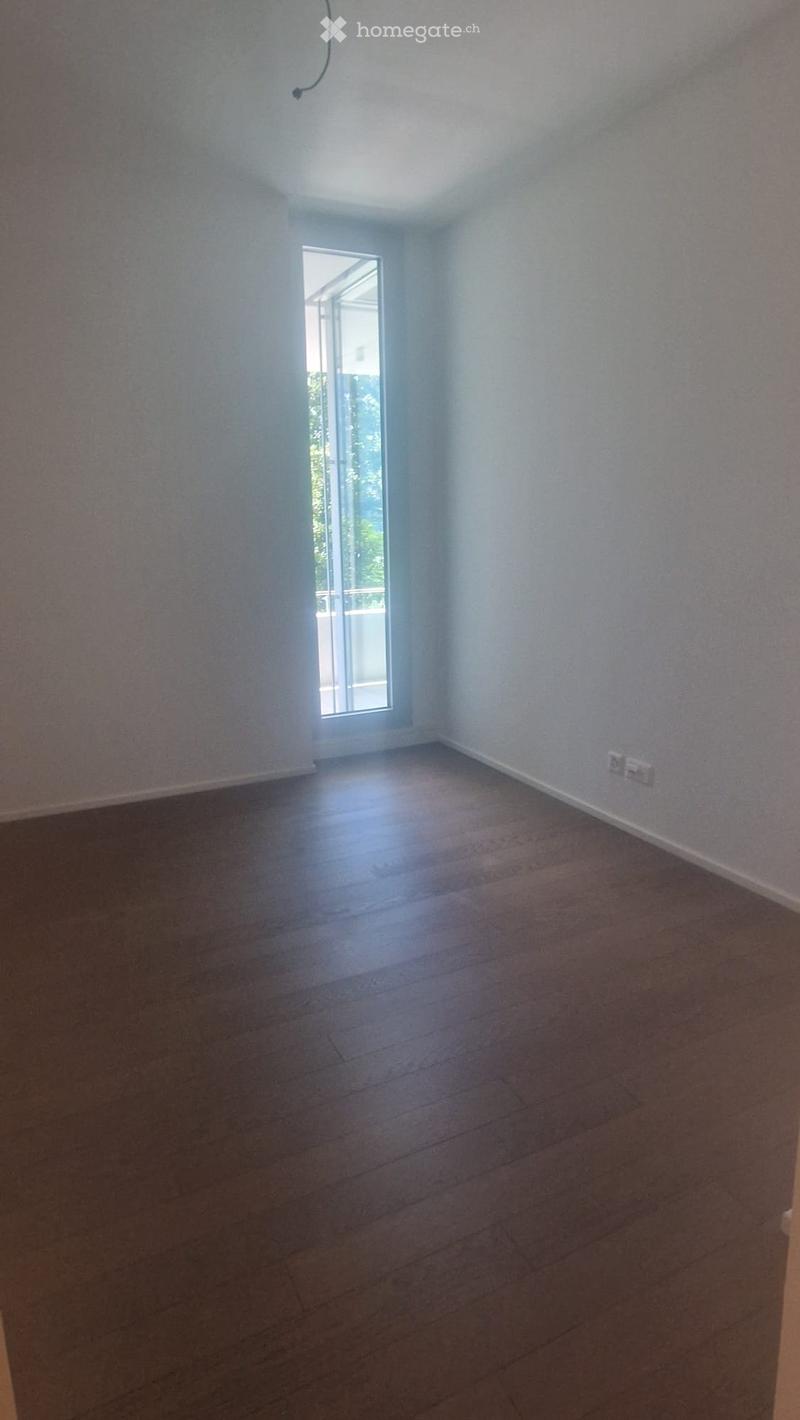 Splendido appto 3.5 locali sul lungolago di Muralto (4)
