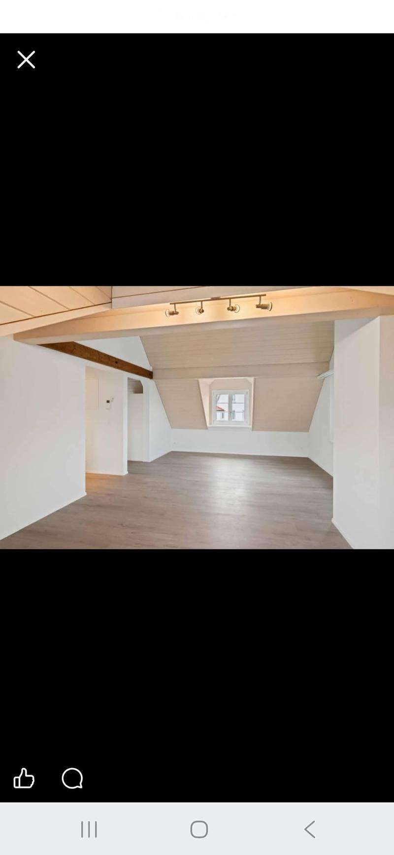 Grosszügige Dachwohnung (5)