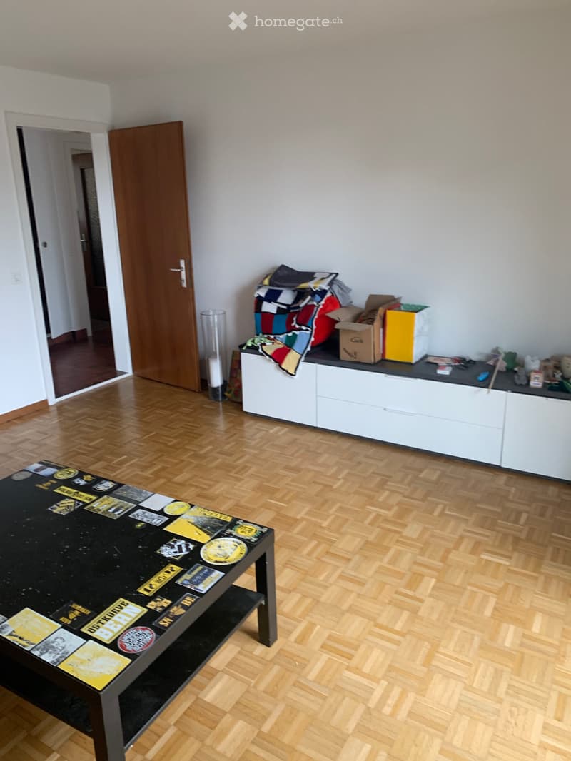 4 Zimmer Wohnung (5)