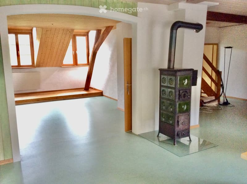 Grosse helle Dachwohnung im ehemaligen Bauernhaus (5)