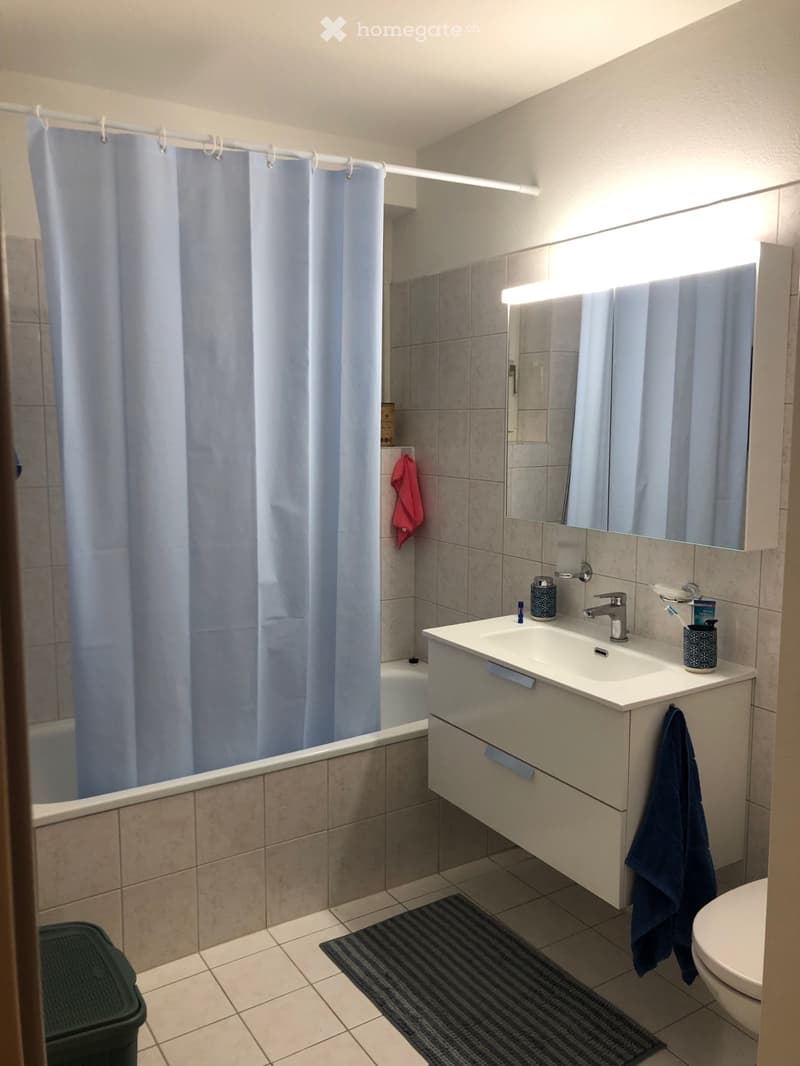 Wunderschöne 2.5 / Stupendo appartamento 2.5 a San Nazzaro (2)