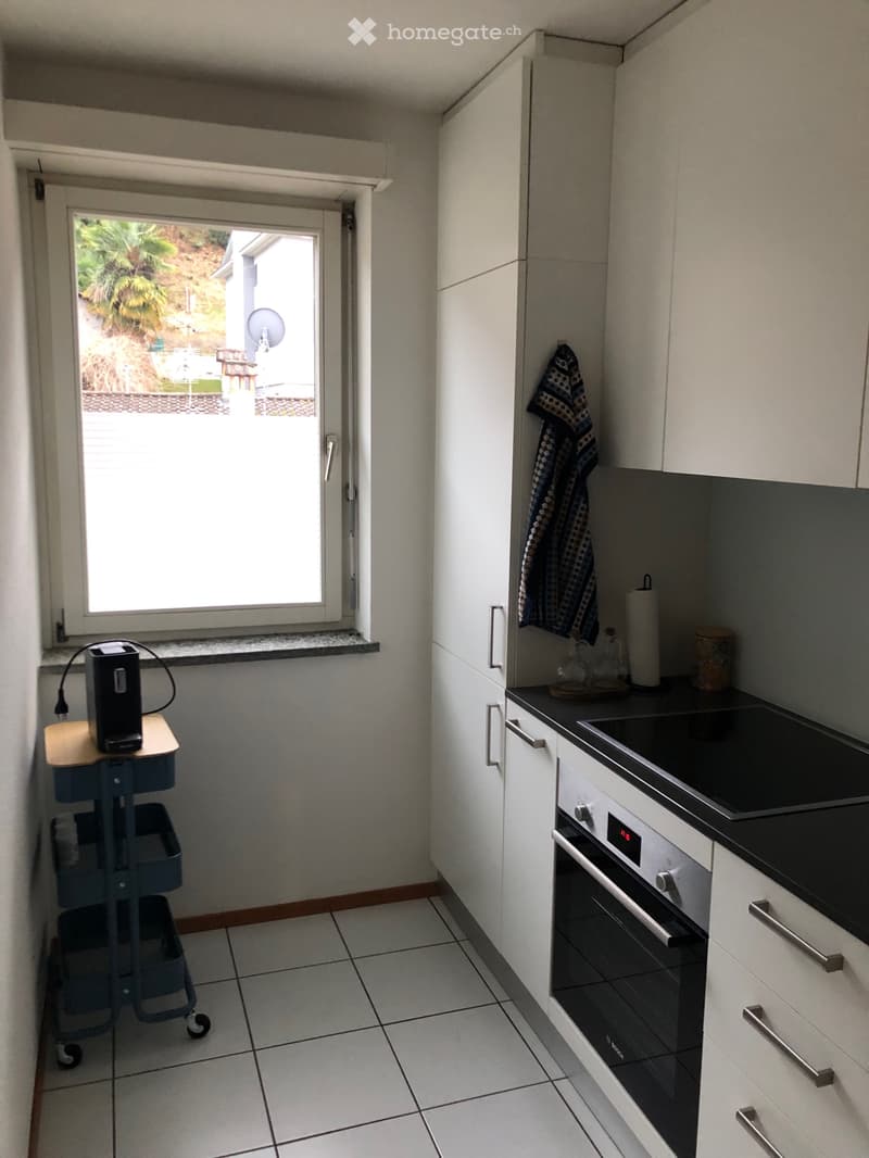 Wunderschöne 2.5 / Stupendo appartamento 2.5 a San Nazzaro (5)