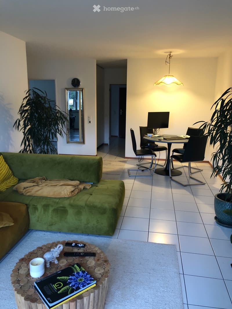 Wunderschöne 2.5 / Stupendo appartamento 2.5 a San Nazzaro (3)