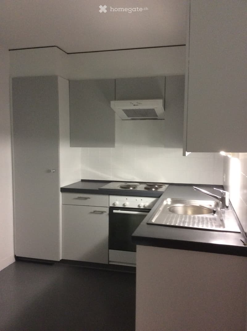 Spacieux 2.5 pièces à Neuchâtel + terrasse sans vis à vis (4)