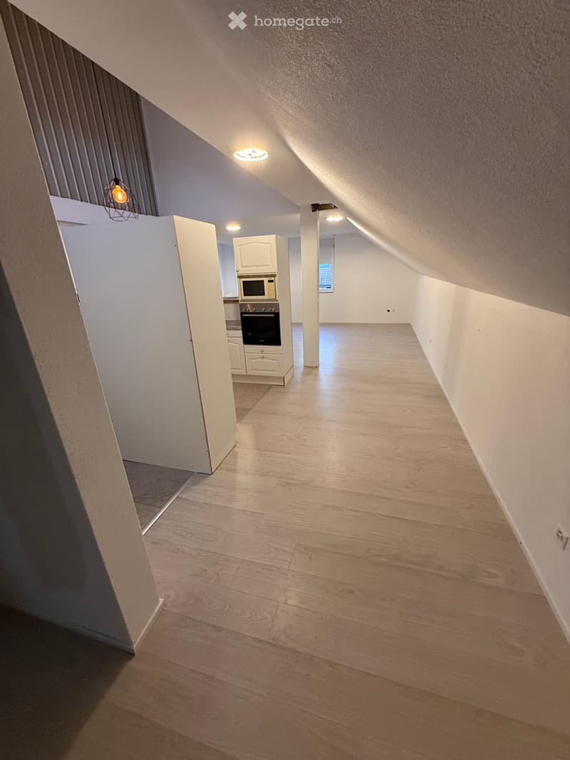 4 1/2 Zimmer Maisonette Wohnung (3)