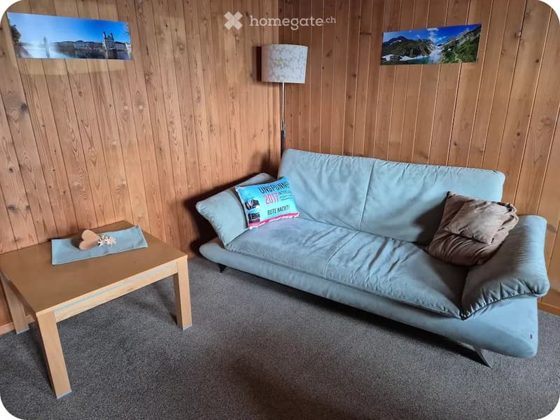 2 1/2 Zimmerwohnung zu vermieten (3)