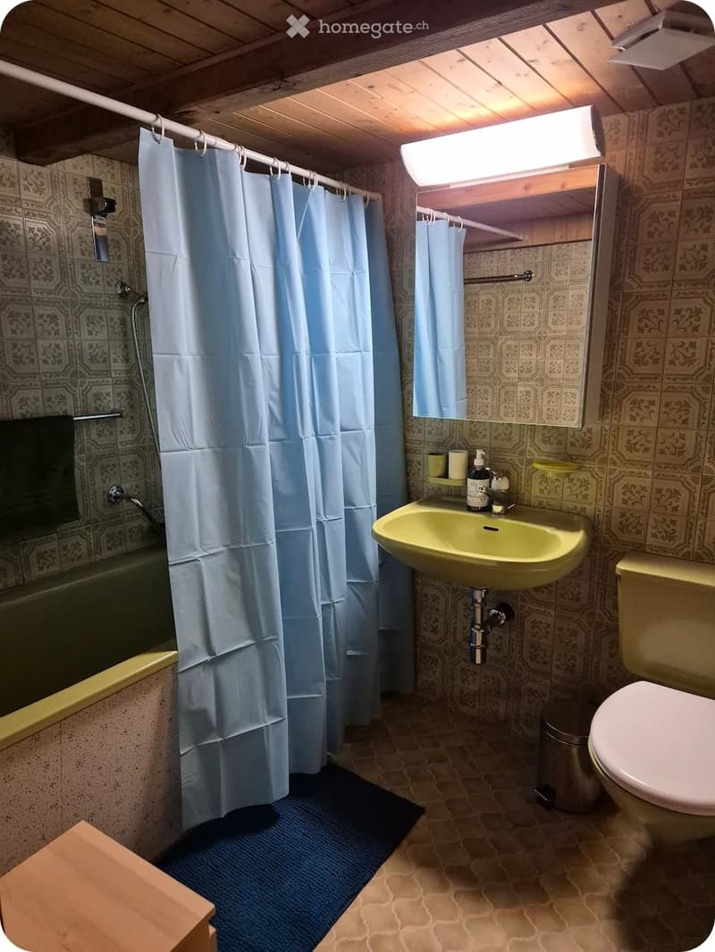 2 1/2 Zimmerwohnung zu vermieten (5)