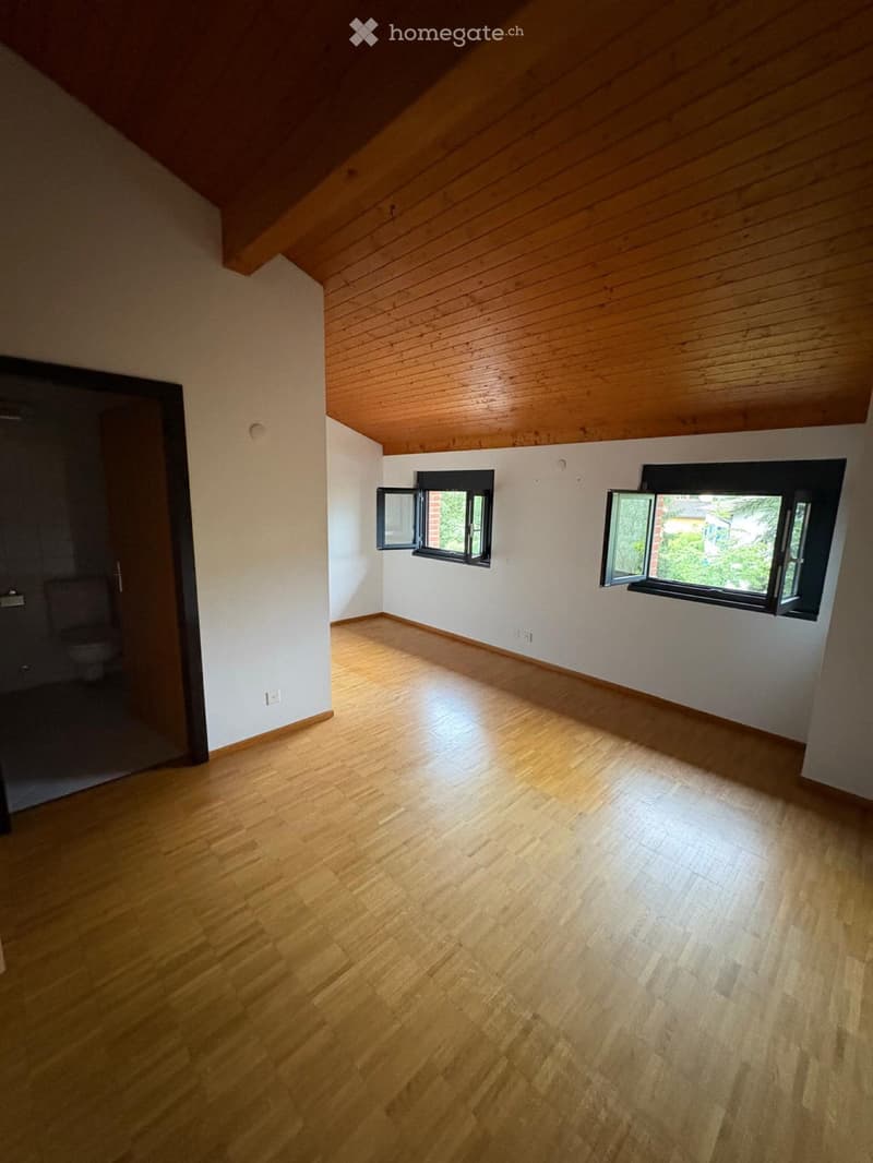 Affittiamo appartamento piano attico (2)