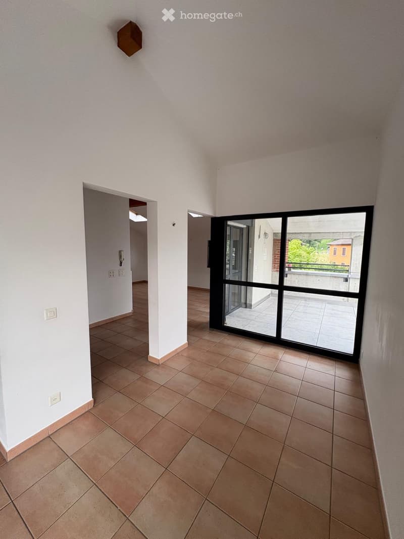 Affittiamo appartamento piano attico (5)
