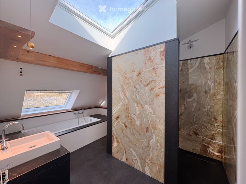 Loftartige 2.5-Zi-Dachw. 105 m² mit Balkon & Sonnenterrasse (3)