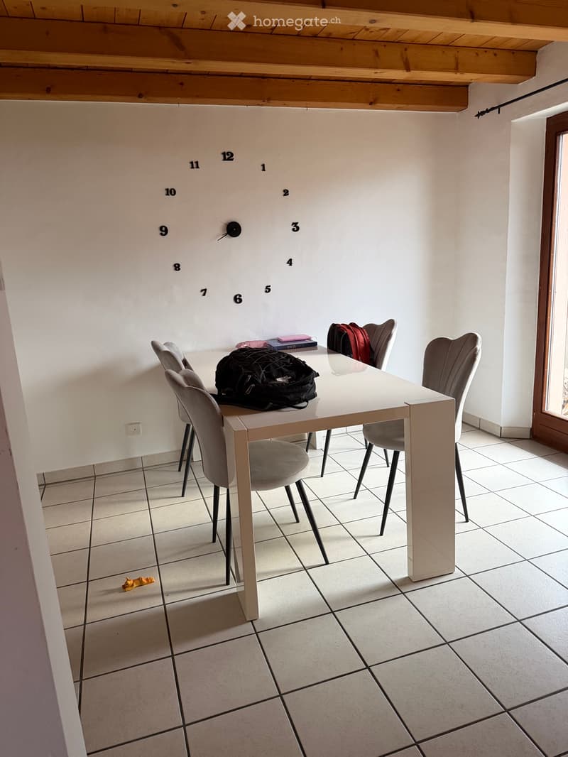 Ampia casa 5.5 locali con giardino privato e posteggi (4)