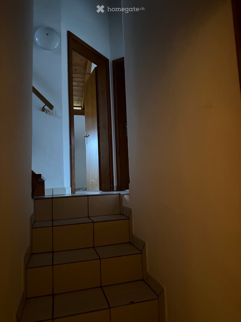 Ampia casa 5.5 locali con giardino privato e posteggi (5)