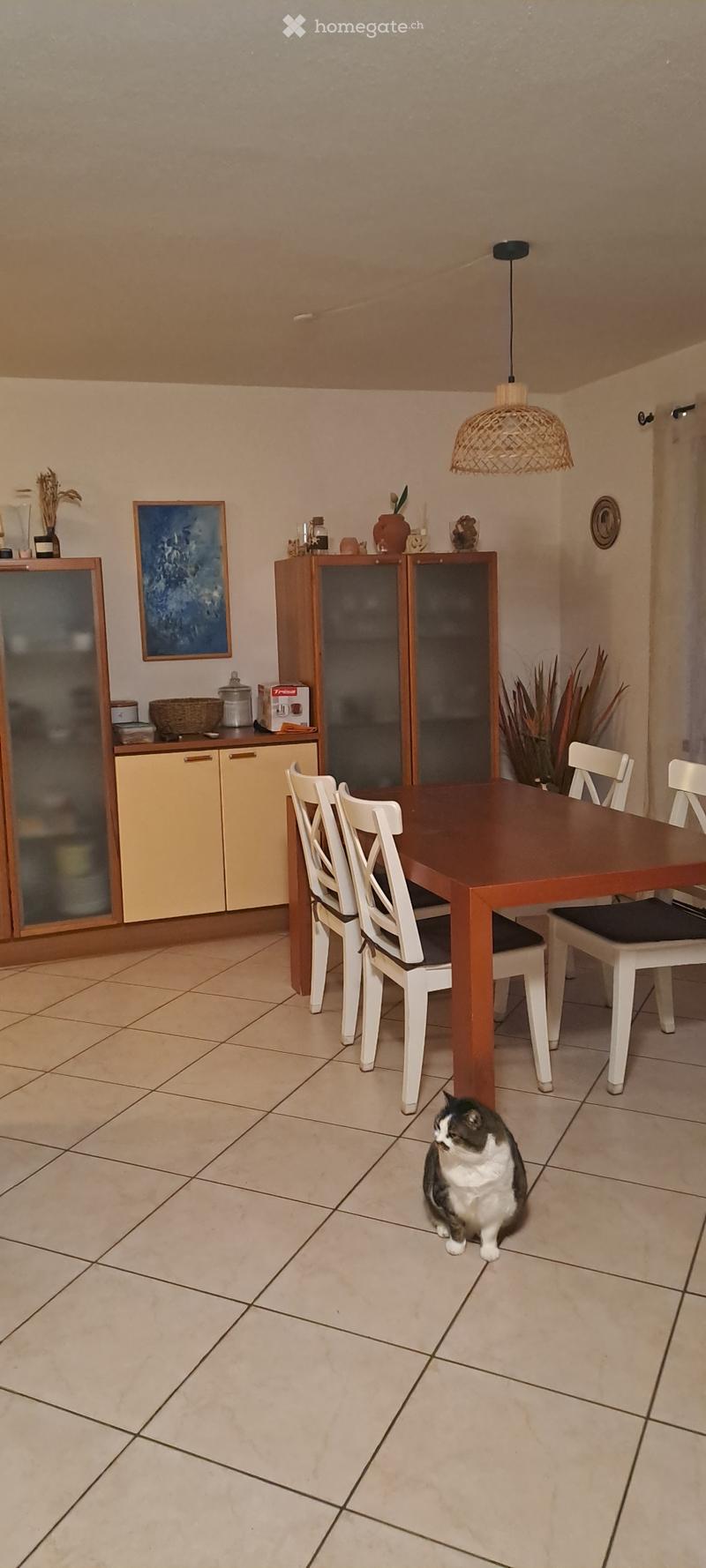 Casa monofamiliare (5)