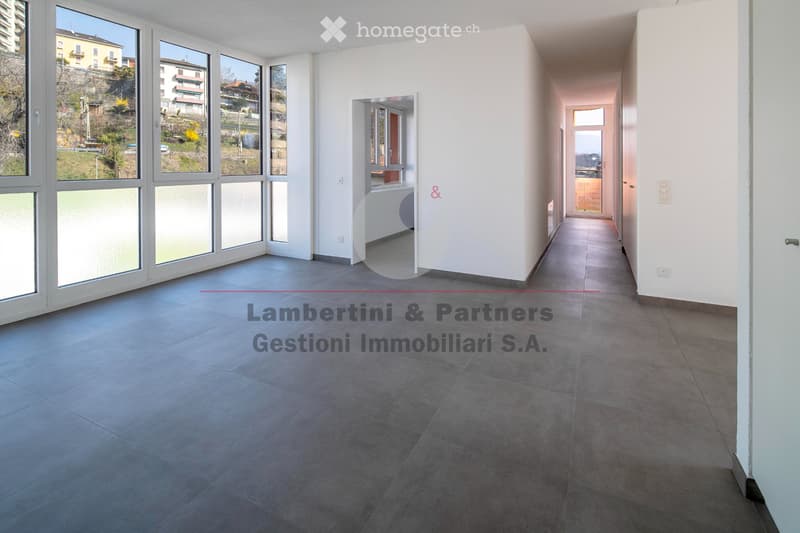 APPARTAMENTO 3.5 LOCALI a Balerna (3)