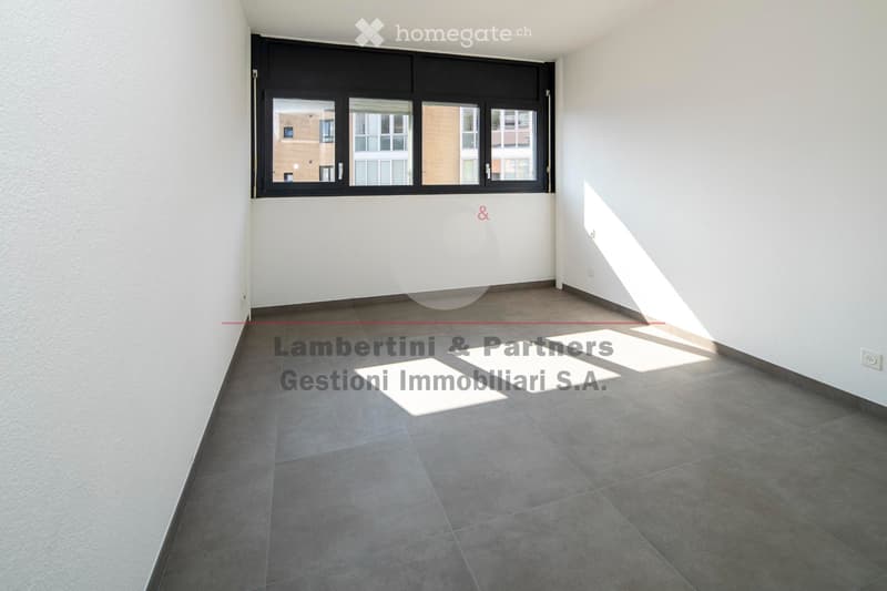 APPARTAMENTO 3.5 LOCALI a Balerna (7)