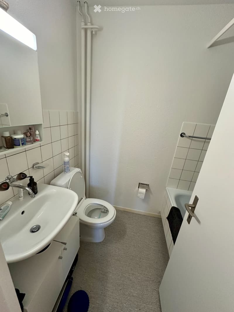 DEIN ZUHAUSE MIT BLICK AUF BERN (4)