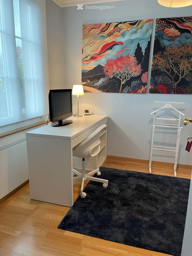 Grosses WG-Zimmer in Einfamilienhaus/möbliert & zentrumsnah (4)