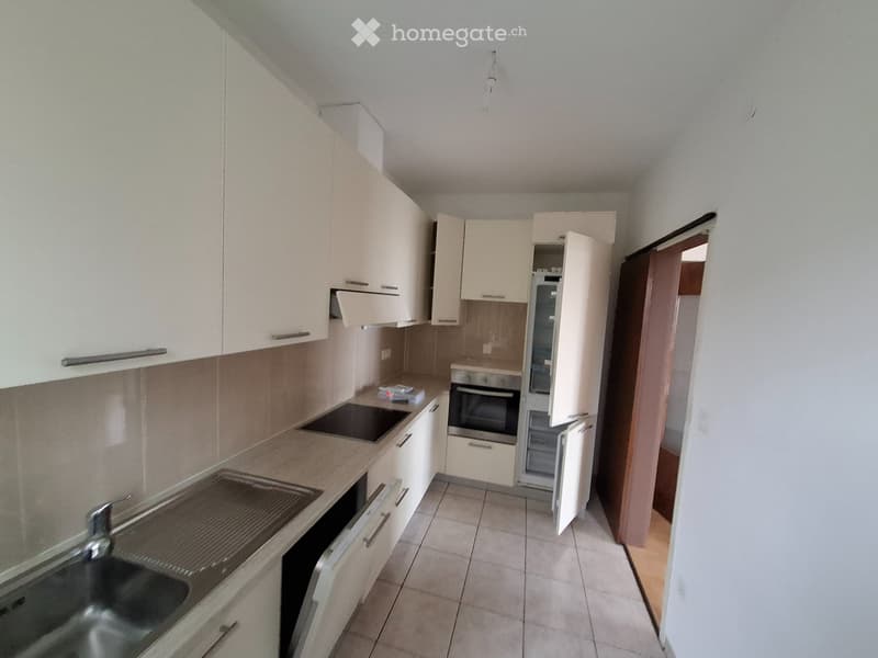 Affittasi appartamento con vista aperta di 3,5 locali con P. (2)