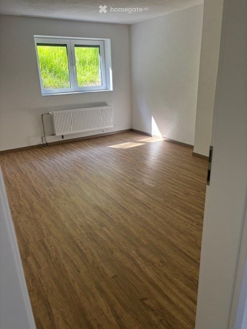 Neue, attraktive, naturnahe Wohnung per sofort zu vermieten (3)