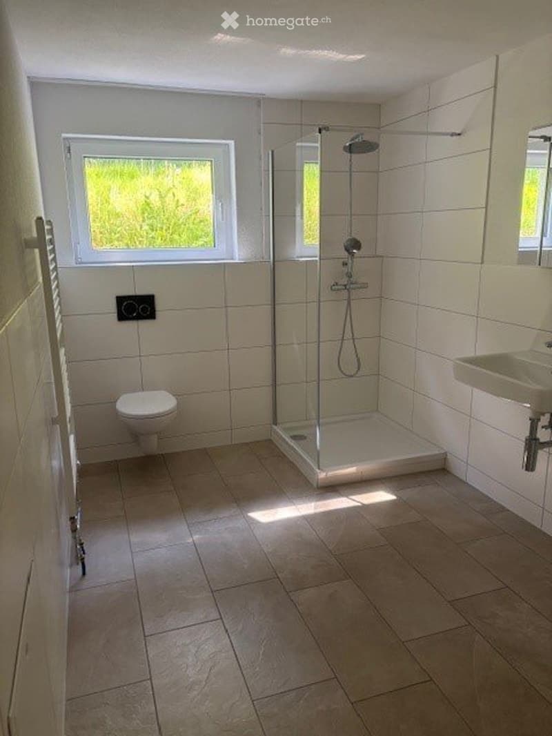 Neue, attraktive, naturnahe Wohnung per sofort zu vermieten (4)
