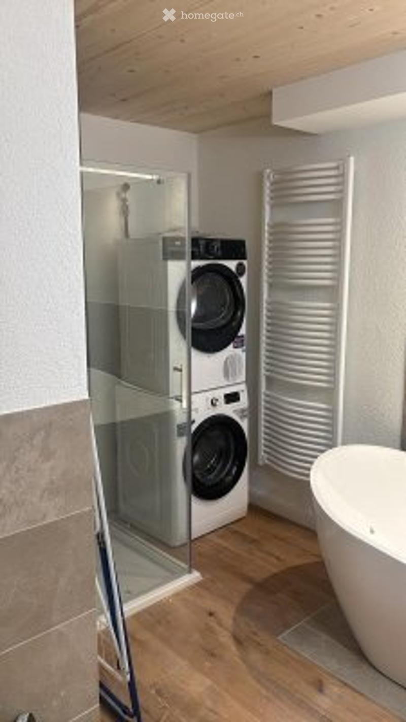 Grosszügige 3.5 Zi Wohnung in Neubau ab sofort zu vermieten (4)