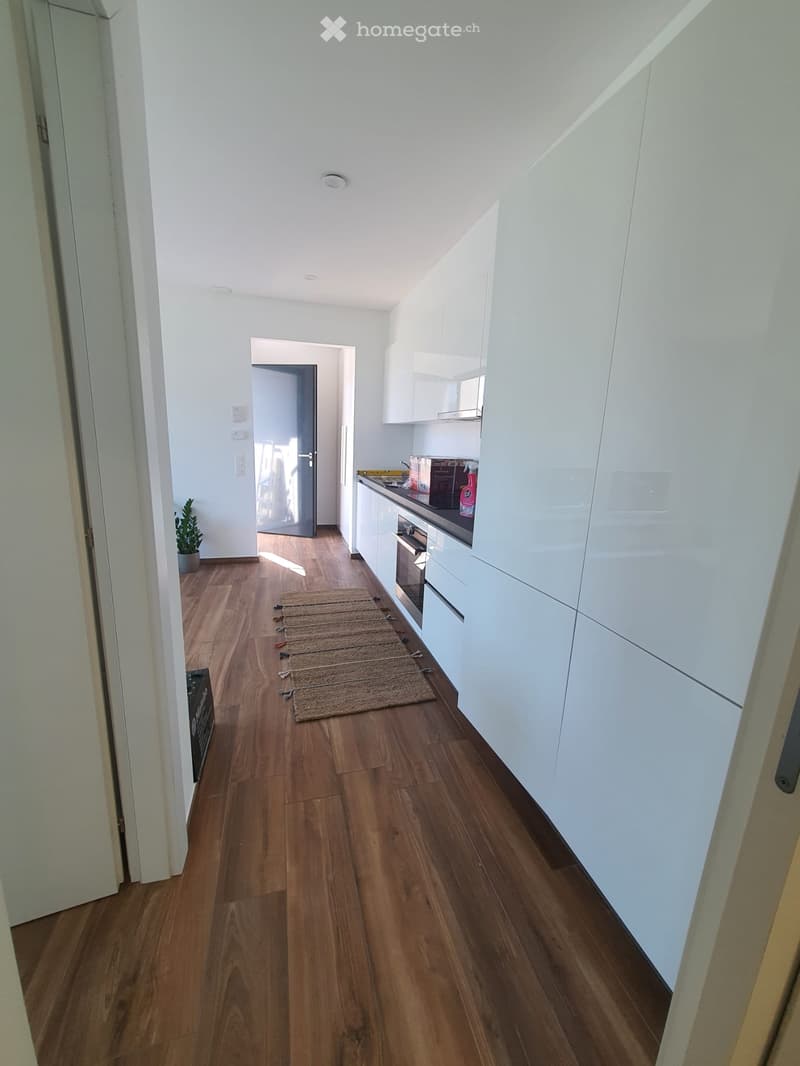 Appartamento ammobiliato 2,5 locali (3)